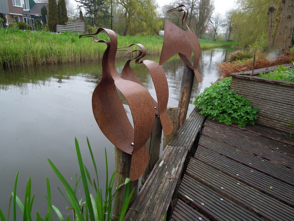 aalscholver (zittend zonder vleugels)